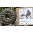 Wildlutscher Leckstein f&uuml;r Pferde und Ponys Minze und Eukalyptus 1,6 kg