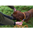 Farm-Land Hundeleine Lautlos Orange