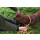 Farm-Land Hundeleine Lautlos Orange